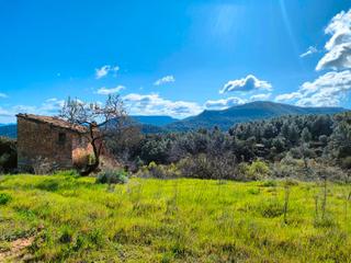 Fondo rustico in Ráfales