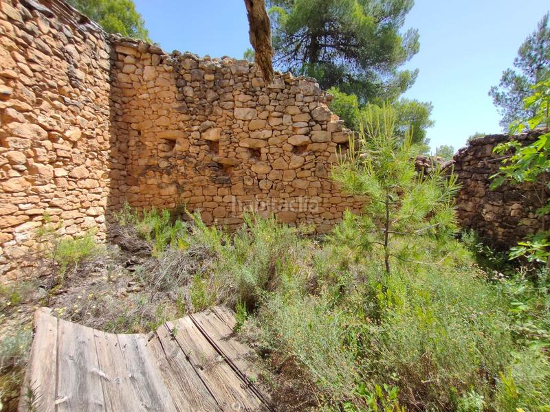 Foto 56b2fad6-c76b-4098-9b75-cae65bdadb37. Finca rústica a Portellada (La)