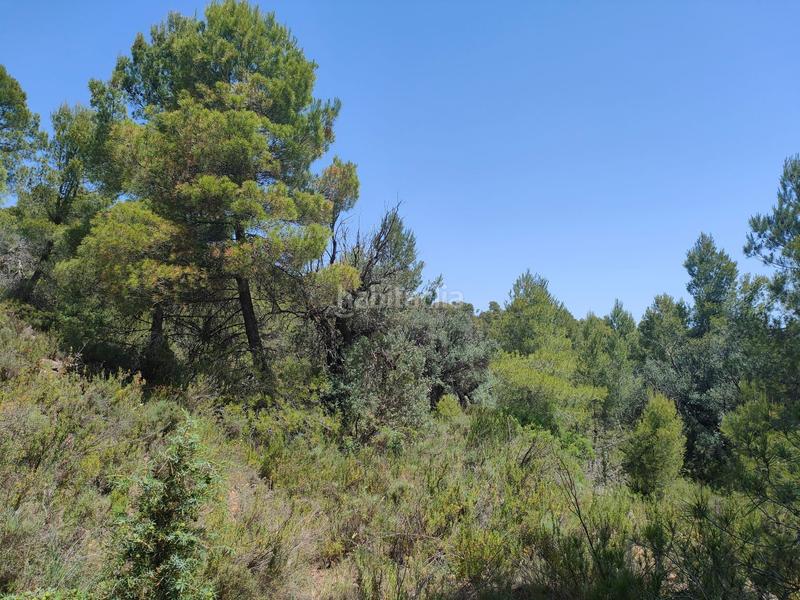 Foto 816184f4-020d-43e4-9315-afb21d98f30f. Finca rústica a Portellada (La)