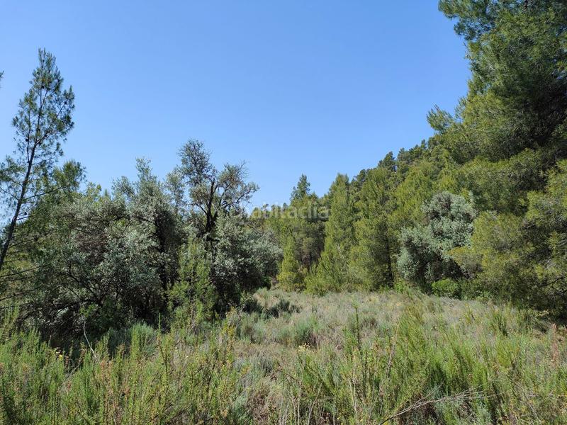 Foto 864ea02b-ca5d-4ca4-96eb-5593700d7f2c. Finca rústica a Portellada (La)