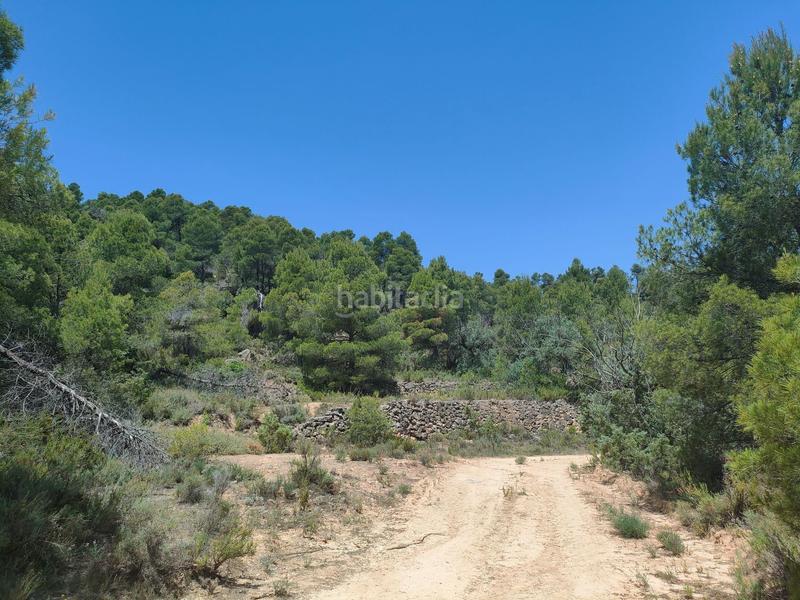 Foto ba6f6241-4def-41d4-8793-559fce3c29ad. Finca rústica a Portellada (La)