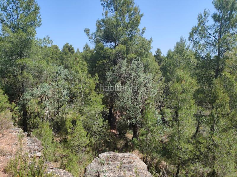 Foto fa8b93a1-cd3a-44aa-8e94-b7399b4dddd4. Finca rústica a Portellada (La)