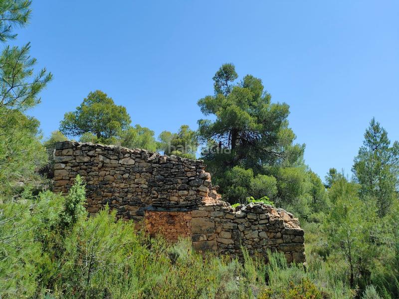 Foto 083bd2ba-7a48-4690-bc2c-1a7bccfcf0ea. Finca rústica en Portellada (La)