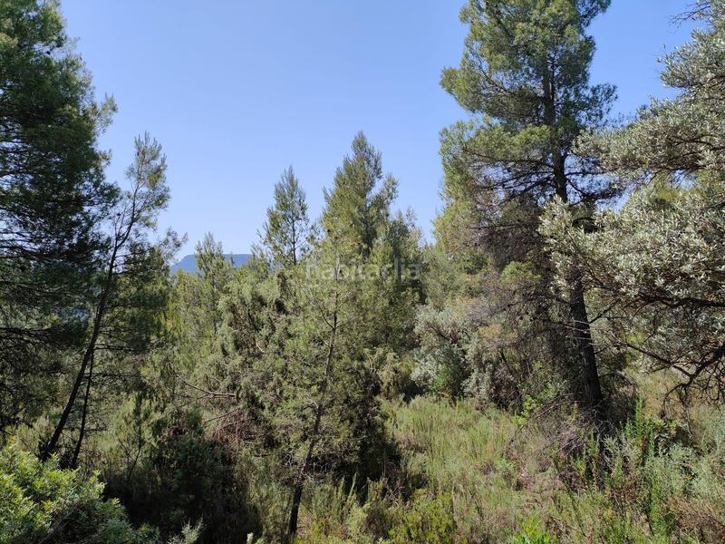 Foto 24e00eee-f200-4e5b-9359-c79f3acca843. Finca rústica en Portellada (La)