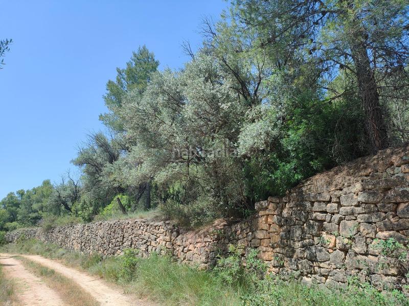 Foto 2ac52621-959a-4d9f-abc9-0351c1d49567. Finca rústica en Portellada (La)