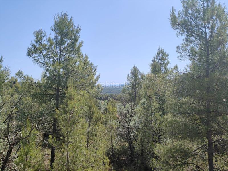 Foto 7661fcc6-f4d9-4b03-a17e-7f12e83d9a3b. Finca rústica en Portellada (La)