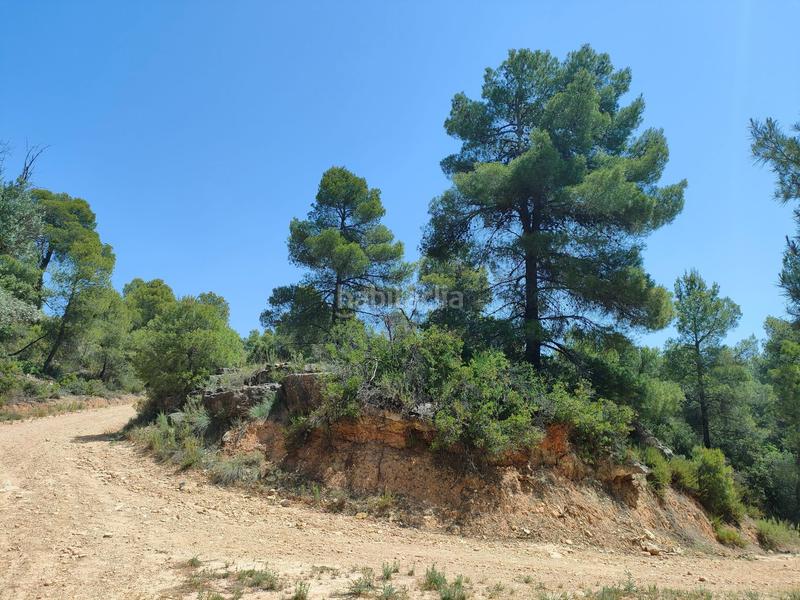 Foto b3358c1b-0b49-41c2-8a40-86c4b1967474. Finca rústica en Portellada (La)