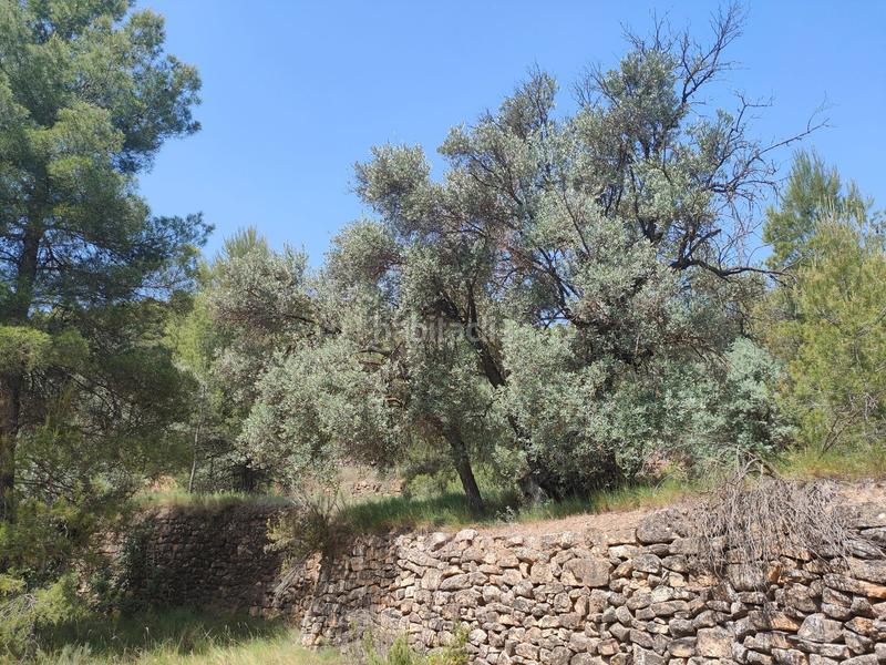 Foto ceb1865f-8c11-461a-ae57-80a285c33023. Finca rústica en Portellada (La)