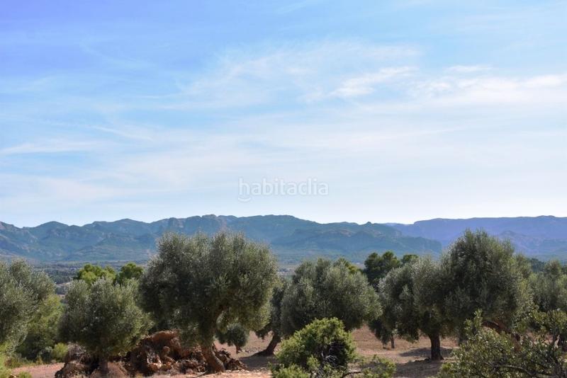 Foto bc664c7d-e524-40a0-925a-5c863962ba95. Finca rústica en Lledó