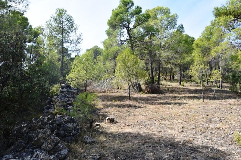 Foto d2917087-c273-4ffe-a285-ec58da6483ef. Finca rústica en Lledó