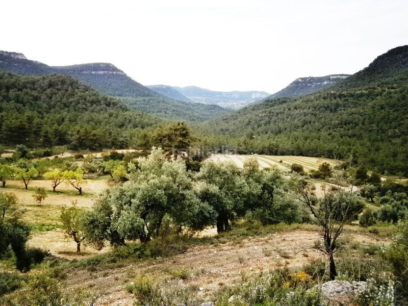 Foto 26c47068-0fab-4dd0-977e-1ecd27168f9c. Casale in Fuentespalda