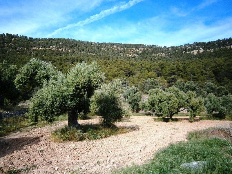 Foto 95acb60c-0624-484d-bdaf-5c9af26c818a. Casale in Fuentespalda