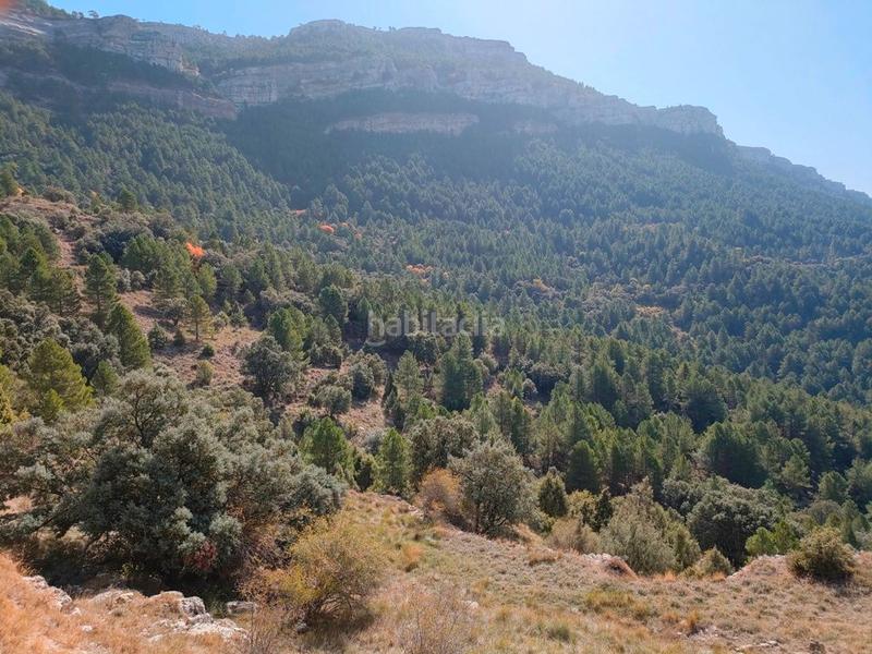 Foto 6f8a1c6f-b547-4988-bd48-2cb503b6a275. Masia a Peñarroya de Tastavins