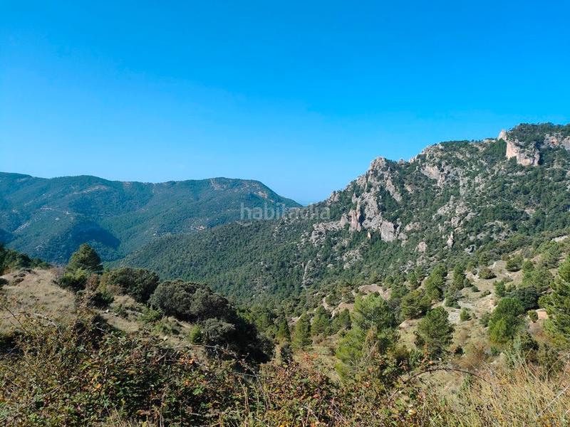 Foto 9d28a08e-4f2e-4568-82ed-1051db62060e. Masia a Peñarroya de Tastavins