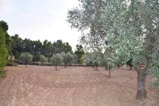 Finca rústica a A-231 43