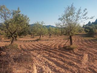 Finca rústica a Monroyo