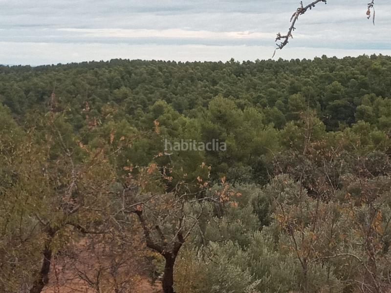 Foto 0b3d91a5-914b-428a-8576-ec23e4152fa7. Finca rústica en Fresneda (La)