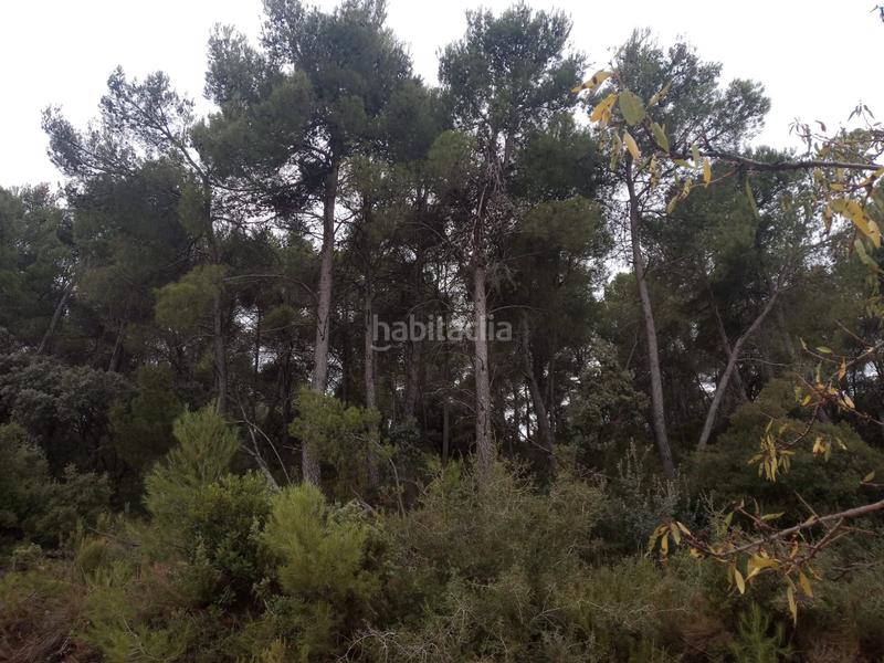 Foto 11defe43-8c6c-4d5f-8a5f-1311bdbf8c40. Finca rústica en Fresneda (La)