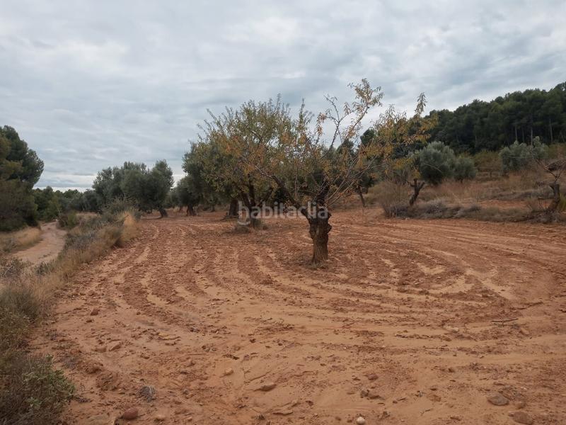 Foto 43254e11-f841-4282-82e9-45a01ed37dd3. Finca rústica en Fresneda (La)