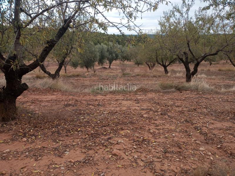 Foto cd6c198b-5d13-44ff-b6c1-451b296f6e20. Finca rústica en Fresneda (La)