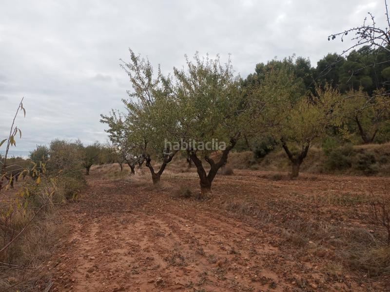 Foto ce941c61-479e-4855-a108-ca82f52531ec. Finca rústica en Fresneda (La)