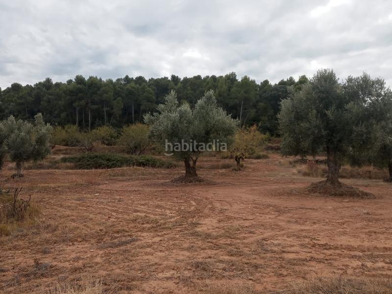 Foto e2a521f5-c605-4898-9ba2-46dd8adbf739. Finca rústica en Fresneda (La)