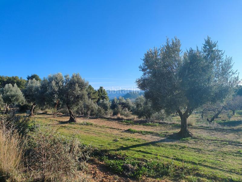 Foto fe3b3856-13b7-49f0-a28b-4a3b2ec8cead. Fondo rustico in Fresneda (La)