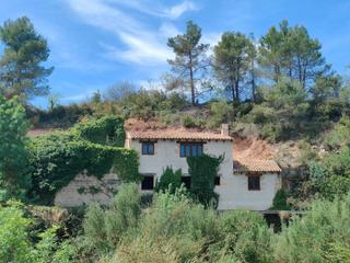 Mas à Cretas. Finca de 4,16 hectáreas con antiguo molino de 130 m2 frente al r