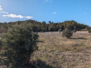 Finca rústica a N/a