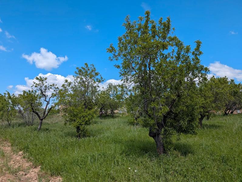 Foto 2c41a091-87e8-4ce8-b633-1e694d2d6b7d. Bauernhof in Monroyo