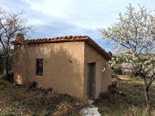 Masia a Valderrobres. Casita rodeada de olivos