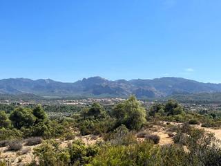 Rural plot in Calle ermita 7b