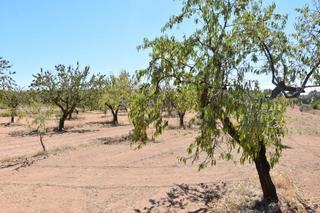 Rural plot in Cretas