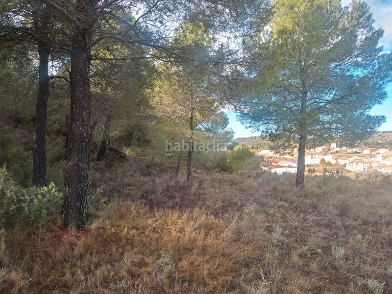 Foto 1c2c29f8-1af2-439c-9c23-81958db70a54. Finca rústica a Valdeltormo