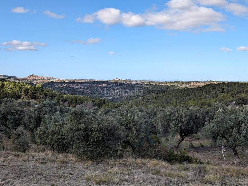 Foto 042d674a-d8f4-4598-a3ce-a94a9d63d61c. Finca rústica a a-1413 4 a Arens de Lledó