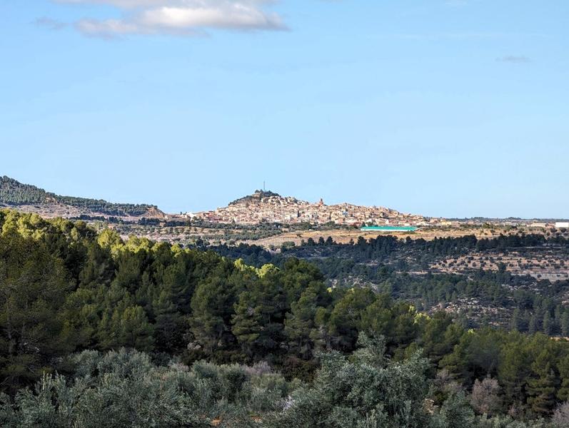 Foto 37d46dd9-0fdf-4156-a0b7-29deb78796b0. Finca rústica a a-1413 4 a Arens de Lledó