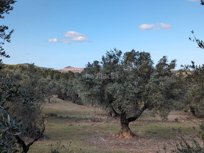 Foto 3c88b579-57a4-4142-8bbe-c88858cb9519. Finca rústica a a-1413 4 a Arens de Lledó