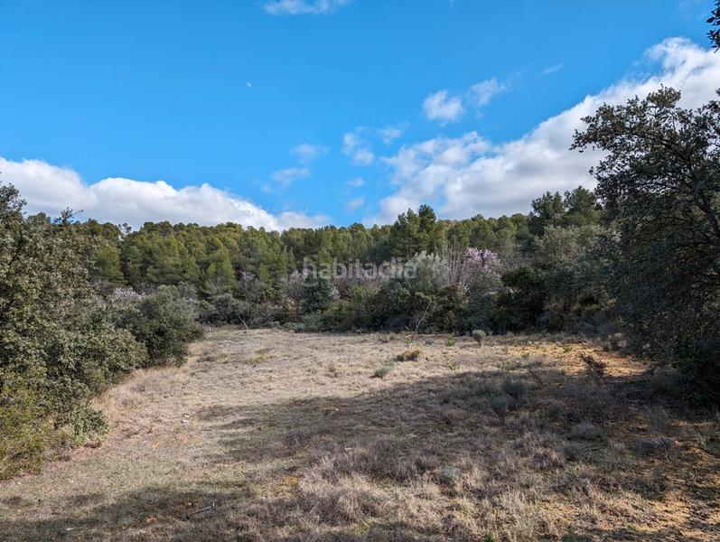 Foto 3cb61f94-26bb-4ecc-a7b6-180a63169733. Finca rústica a a-1413 4 a Arens de Lledó