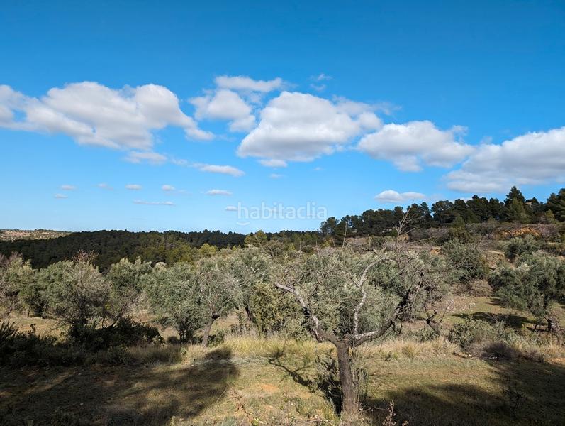 Foto 43dd4228-10a3-4e54-829f-8e36ab0c4df5. Finca rústica a a-1413 4 a Arens de Lledó