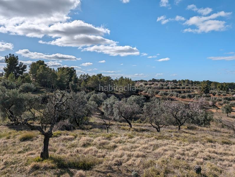 Foto 6ecd1b55-31e6-4b6c-95d9-d7afd9122e3c. Finca rústica a a-1413 4 a Arens de Lledó