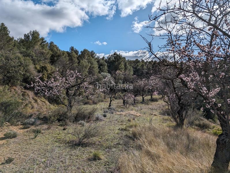 Foto b29c1c82-4c5f-4a38-90b9-e515151e4b17. Finca rústica a a-1413 4 a Arens de Lledó