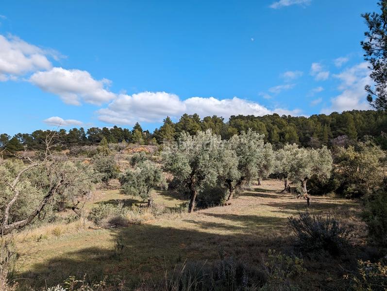 Foto 3e75c722-bdf6-4445-8c5b-ae305e391f34. Finca rústica en a-1413 4 en Arens de Lledó