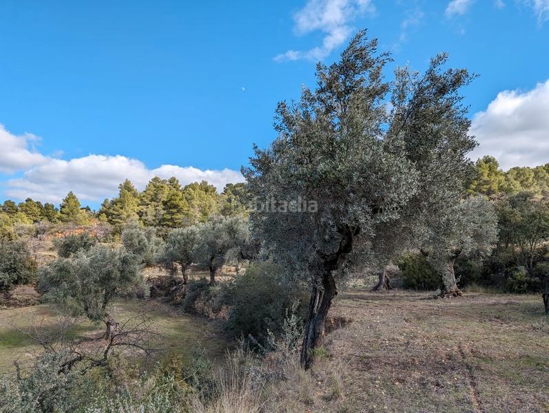 Foto e414d4ca-f667-4efb-9246-6561e90da16f. Finca rústica en a-1413 4 en Arens de Lledó