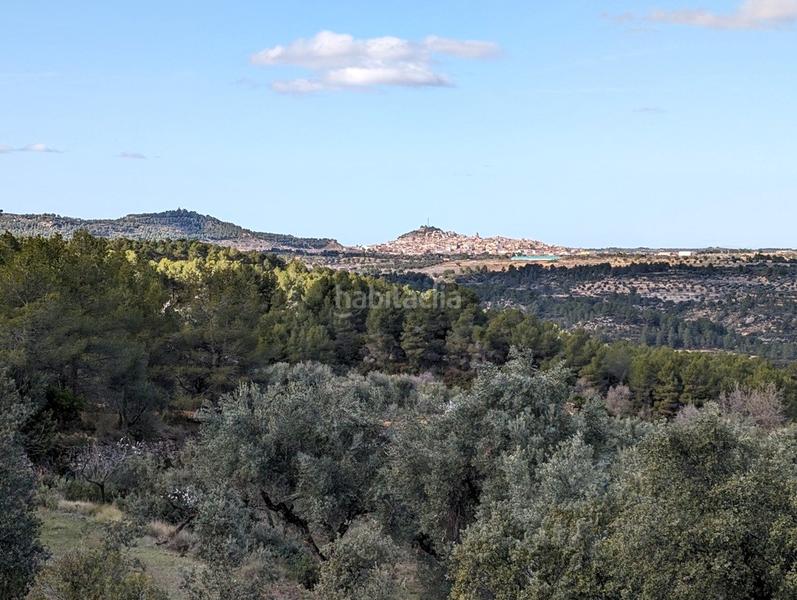 Foto fef2e318-94ba-4f03-9c36-bb1760d3d867. Finca rústica en a-1413 4 en Arens de Lledó