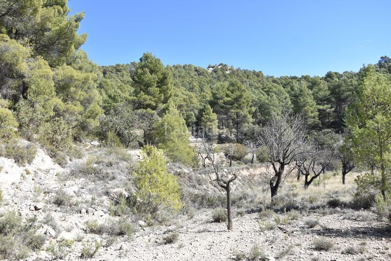 Foto a446105a-4b33-45ab-8c8f-8860e0226638. Finca rústica a calle serreta 25 a Fuentespalda