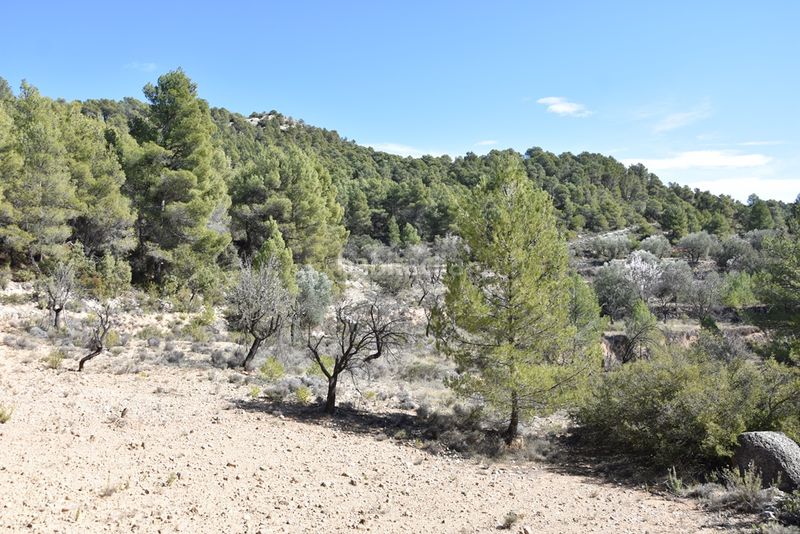 Foto a9f8d94e-206e-41c7-86f2-12bfad6a2bd1. Finca rústica a calle serreta 25 a Fuentespalda