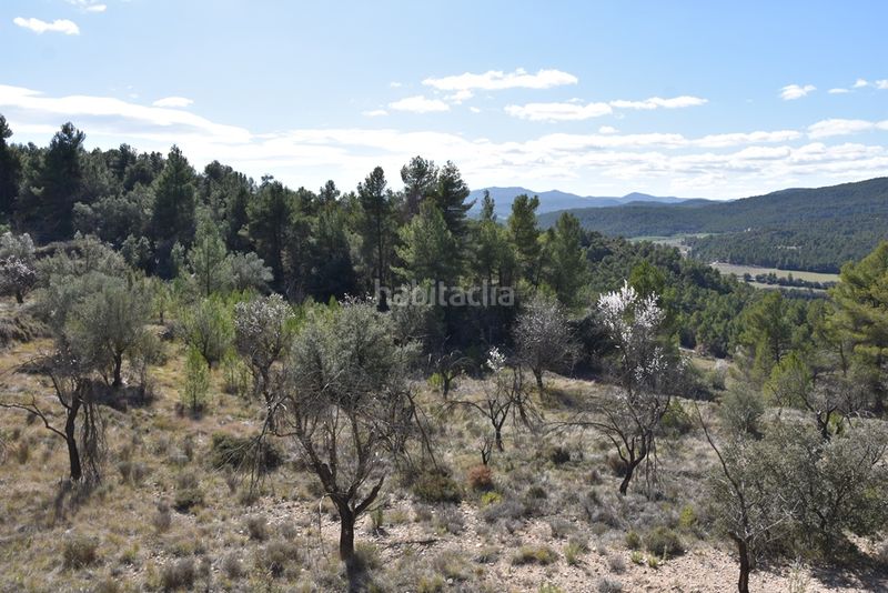 Foto c22acbb4-0b69-4f5b-8b5c-8bf3947818df. Finca rústica a calle serreta 25 a Fuentespalda