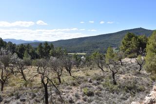 Landgut in Fuentespalda