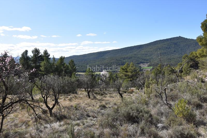 Foto ac13423d-ccfb-4d92-8560-1820fdd33754. Finca rústica a Fuentespalda