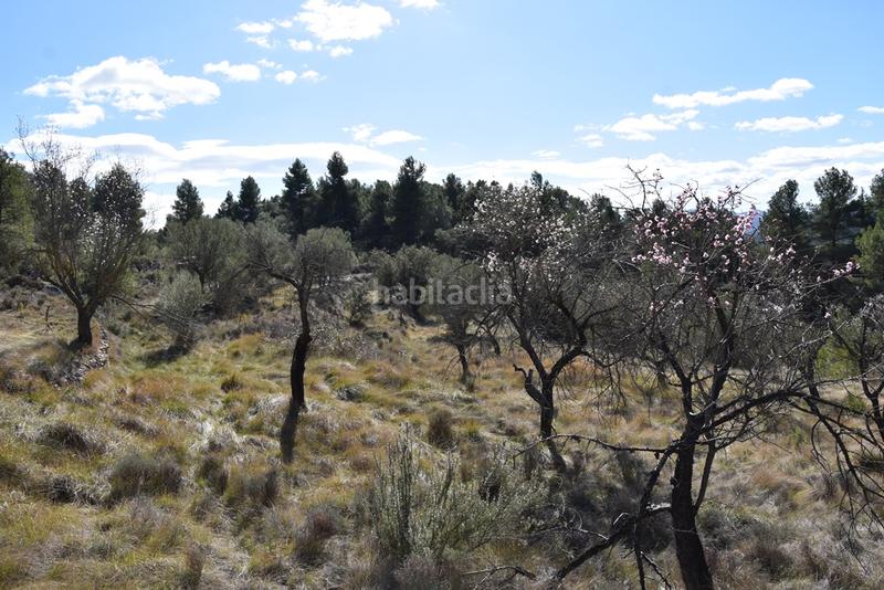 Foto c951491f-4e5a-4e00-8615-5cadfe8319b1. Finca rústica a Fuentespalda
